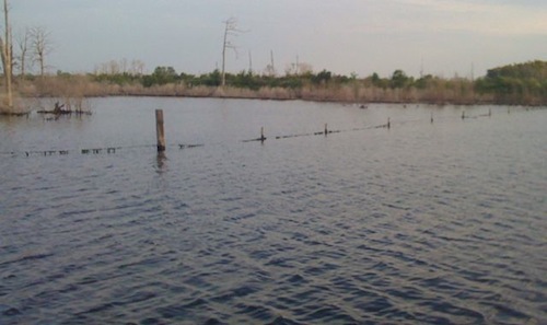 high water in south Louisiana