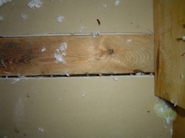 air leakage at the gap between the top plate & drywall