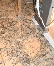 evidence of flooding that could put water inside the new high efficiency HVAC equipment