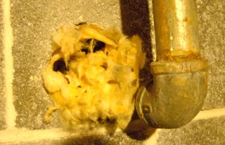 basement moisture problems plumbing penetration critter holes
