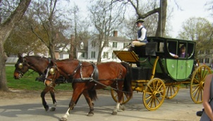 no carts before horses image of horse and carriage