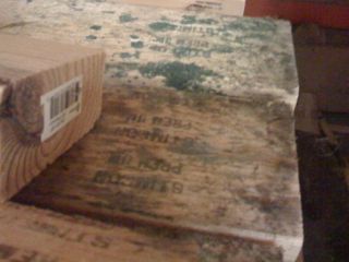 moisture management mold on lumber indoor air quality asthma