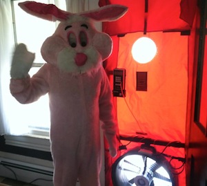 Nate Adams blower door pink easter bunny costume small