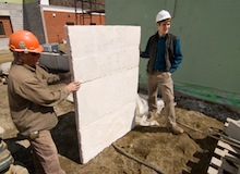 Mushroom insulation for buildings