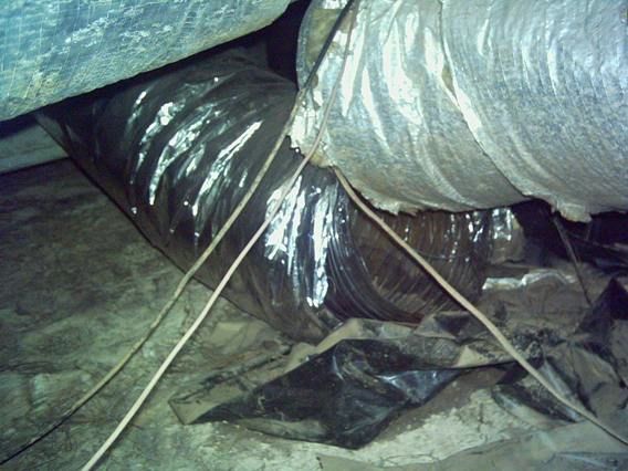 Duct systems are like babies - making a mess of their food!