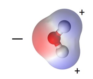 water molecule polar positive negative