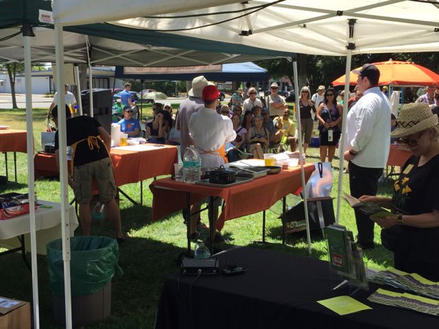 solar-cooker-cooking-festival-2015-sacramento-07