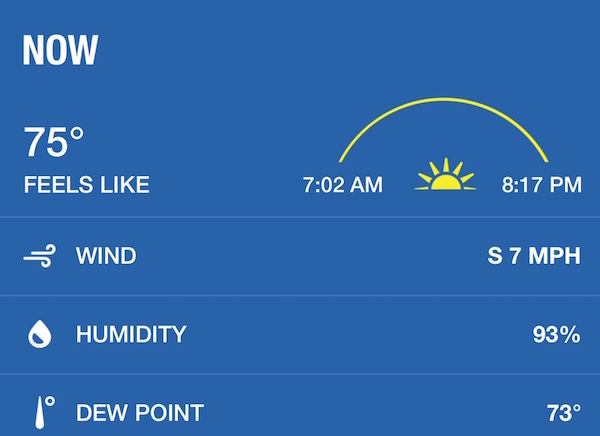 what-is-the-relative-humidity-when-it-s-raining-energy-vanguard