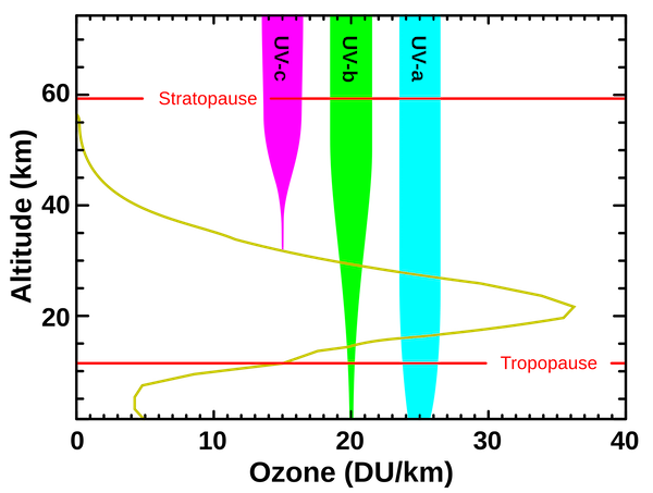 The Pros and Cons Of UV Lights In HVAC - Orzech Heating & Cooling